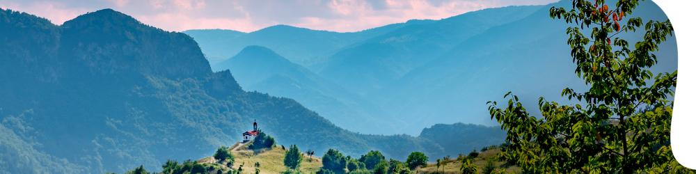 decorative nature image
